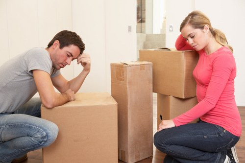 Professional movers handling boxes in a central London flat