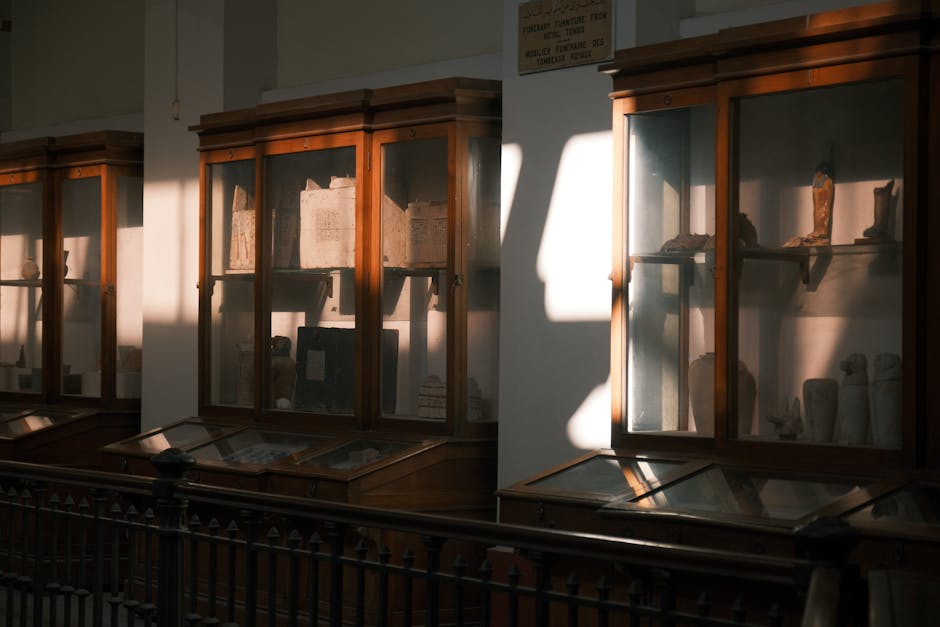 Inside a museum or gallery space with wooden display cabinets exhibiting ancient artifacts and sculptures, illuminated by natural light streaming through large windows, casting shadows on the white walls. The display cases are arranged in a row along the wall, with shelving inside holding various objects such as ceramic vases, small figurines, and papyrus scrolls. In the foreground, a black metal railing separates the display area from the viewer, suggesting a protective barrier for the exhibits. This setting reflects a typical environment for housing historical collections, relevant to house removals and relocation services like those offered by Man with Van Bloomsbury, who specialise in careful packing and furniture transport during home or museum moves. The scene captures the process of safeguarding delicate items, indicative of packing and moving logistics involved in professional removals near culturally significant locations like the British Museum.