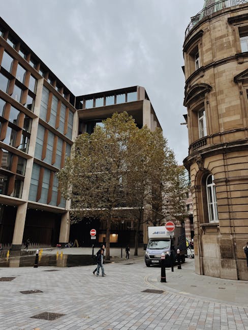 A wide view of an urban street scene showing a modern multi-storey office building with large windows on the left and an older, rounded stone building with ornate architectural details on the right. In the middle, a large deciduous tree with sparse leaves indicates autumn. Several pedestrians are walking across the paved pavement, some near a white man with van vehicle parked on the right side, which is partially visible with an open cargo area. The vehicle appears to be used for home relocation or furniture transport, and a few people are standing nearby, possibly involved in furniture loading or packing activities. The sky is overcast, and the scene captures a typical busy street environment suitable for house removals or moving services, as offered by Man with Van Bloomsbury.